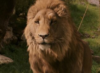 Netflix’ Narnia-film utsettes til 2027 – men gjør likevel historie Narnia
